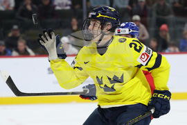 World Juniors Sweden Czechia Hockey