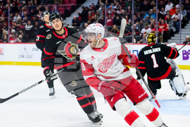 Red Wings Senators Hockey