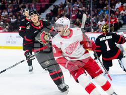 Red Wings Senators Hockey