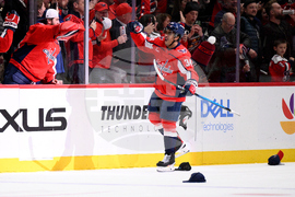 Ducks Capitals Hockey