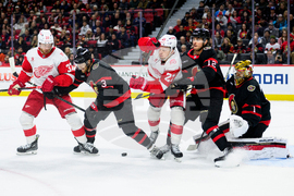 Red Wings Senators Hockey