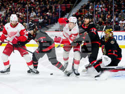 Red Wings Senators Hockey
