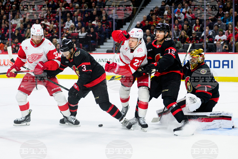 Red Wings Senators Hockey