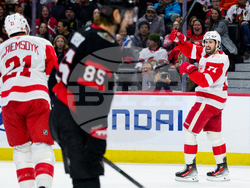 Red Wings Senators Hockey