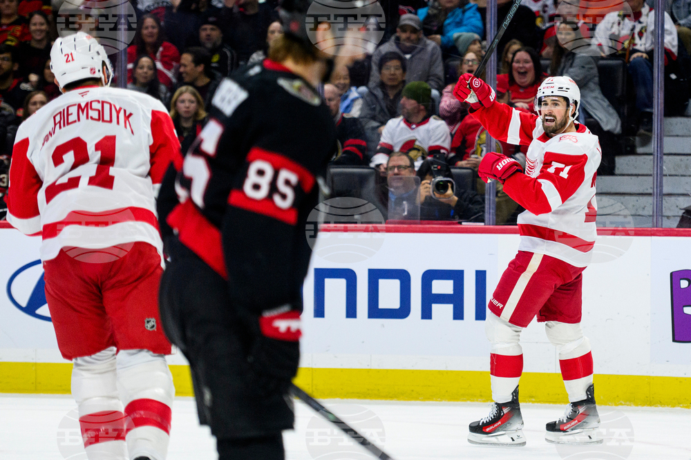 Red Wings Senators Hockey