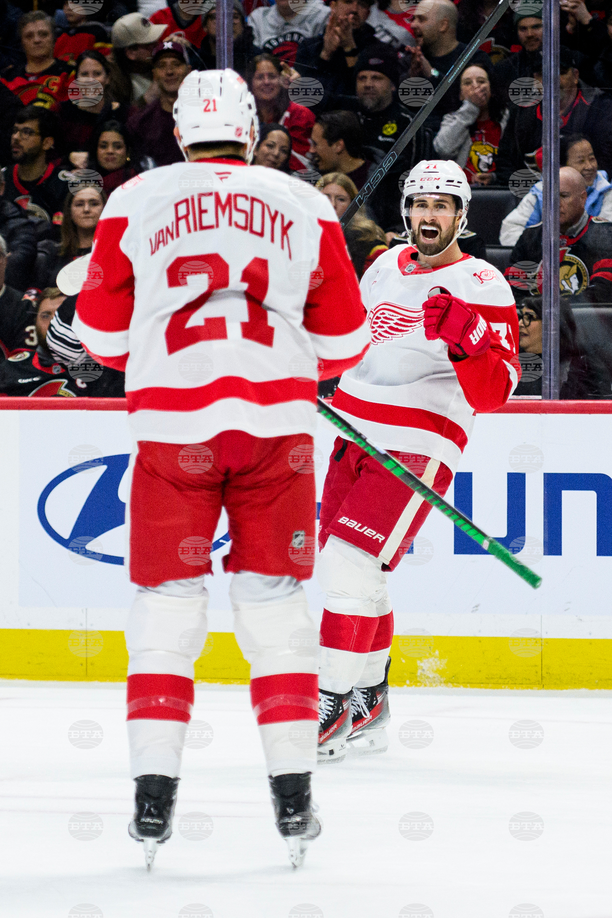 Red Wings Senators Hockey