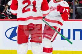 Red Wings Senators Hockey