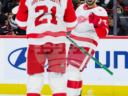 Red Wings Senators Hockey