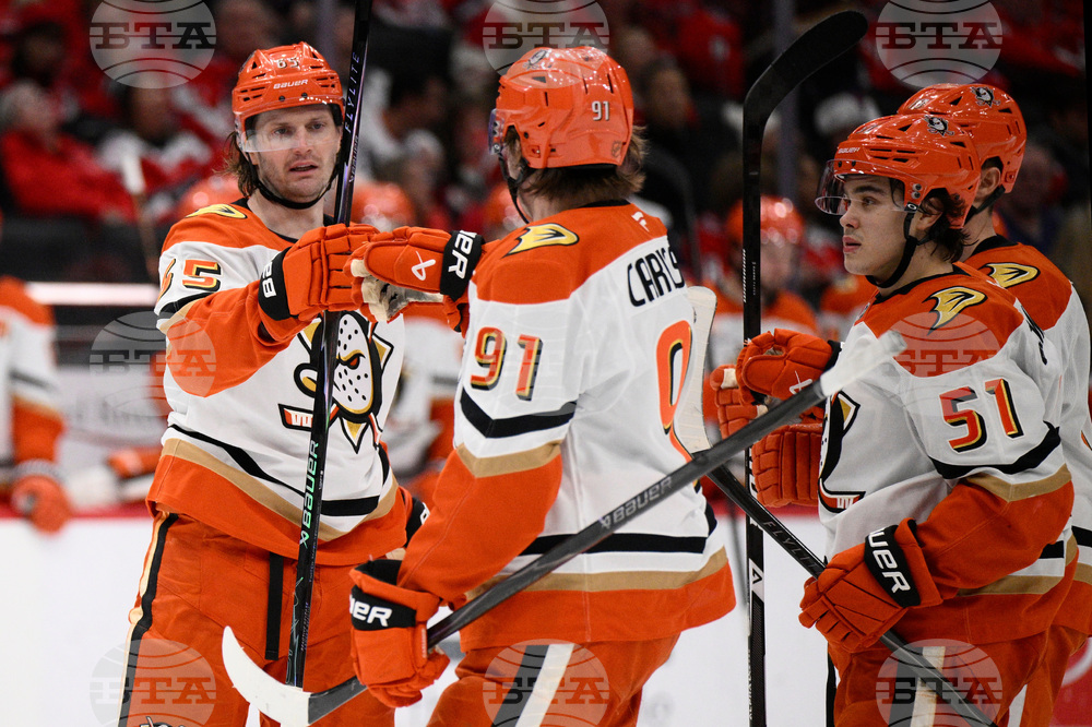 Ducks Capitals Hockey