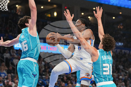 Hornets Thunder Basketball