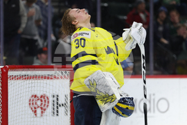 World Juniors Sweden Czechia Hockey