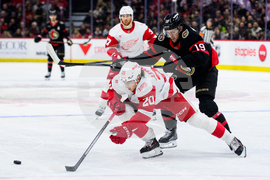 Red Wings Senators Hockey