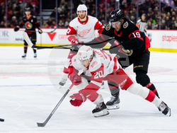 Red Wings Senators Hockey