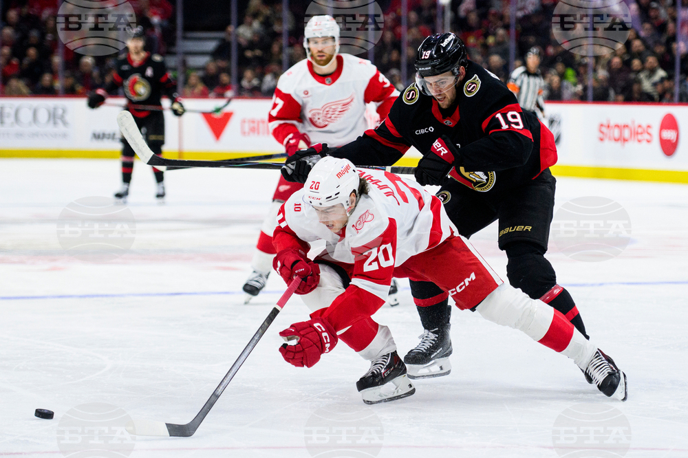 Red Wings Senators Hockey