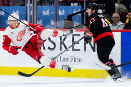 Red Wings Senators Hockey