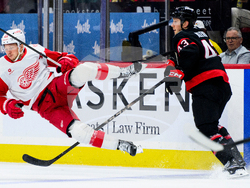 Red Wings Senators Hockey