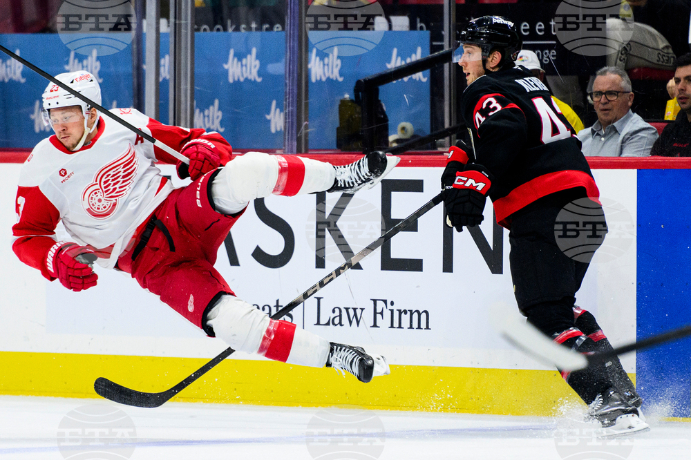 Red Wings Senators Hockey