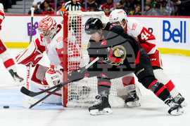 Red Wings Senators Hockey