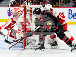 Red Wings Senators Hockey