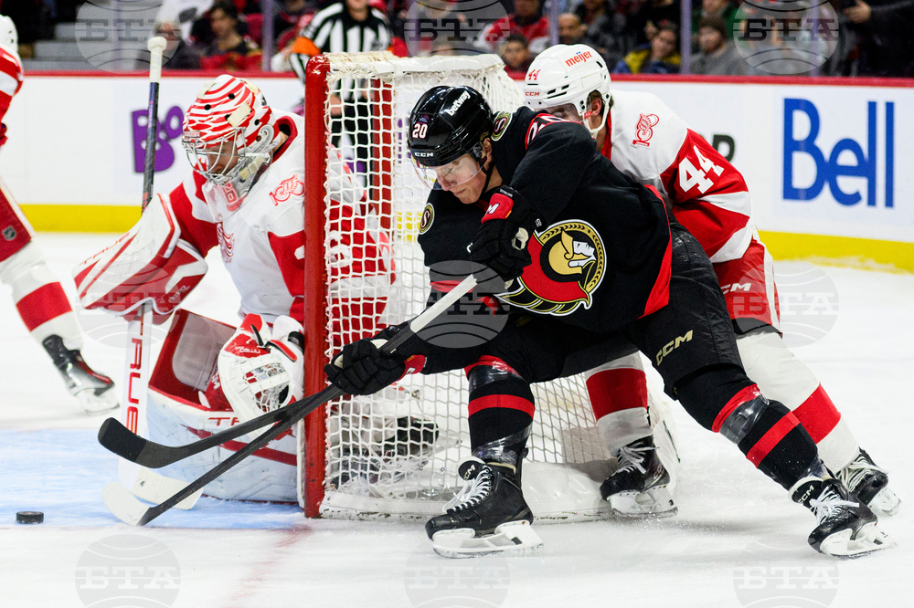 Red Wings Senators Hockey