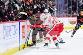 Red Wings Senators Hockey