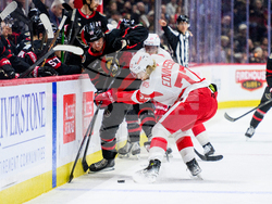 Red Wings Senators Hockey