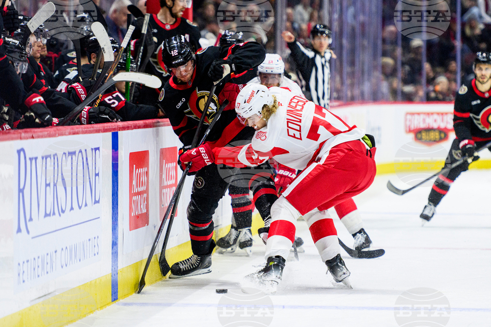 Red Wings Senators Hockey