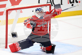 Ducks Capitals Hockey