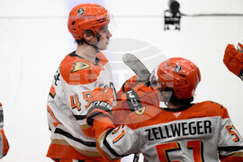 Ducks Capitals Hockey