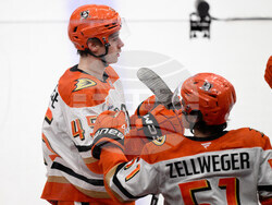 Ducks Capitals Hockey