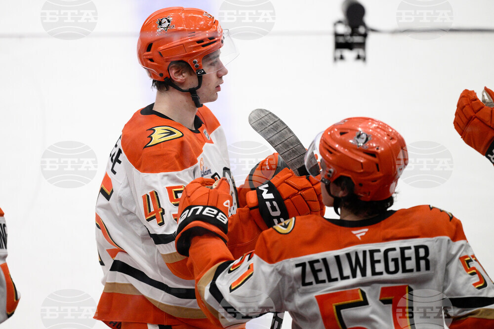 Ducks Capitals Hockey