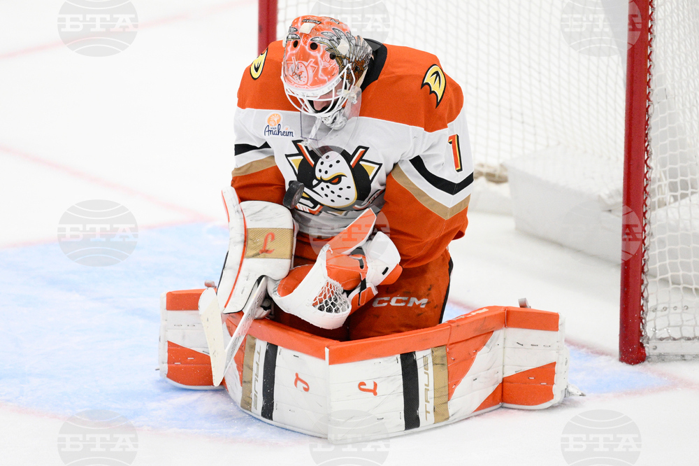 Ducks Capitals Hockey