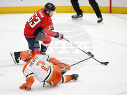 Ducks Capitals Hockey