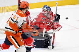 Ducks Capitals Hockey