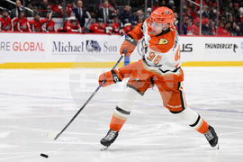 Ducks Capitals Hockey