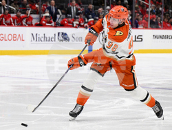 Ducks Capitals Hockey