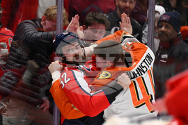 Ducks Capitals Hockey