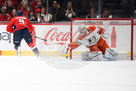 Ducks Capitals Hockey