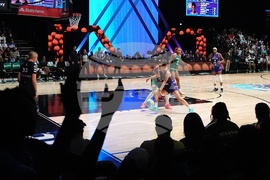 Unrivaled Basketball