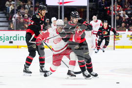 Red Wings Senators Hockey