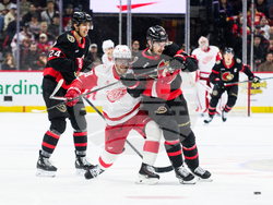 Red Wings Senators Hockey