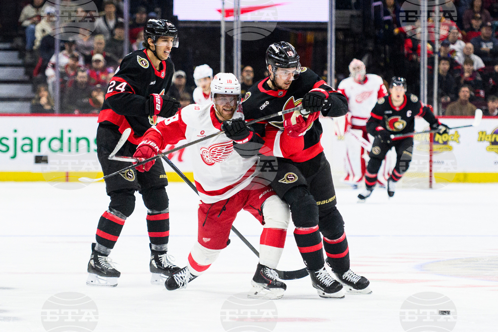 Red Wings Senators Hockey