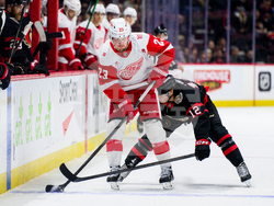 Red Wings Senators Hockey