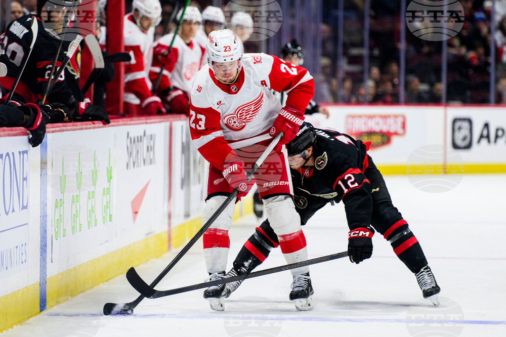 Red Wings Senators Hockey