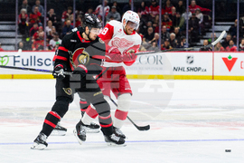 Red Wings Senators Hockey