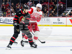 Red Wings Senators Hockey