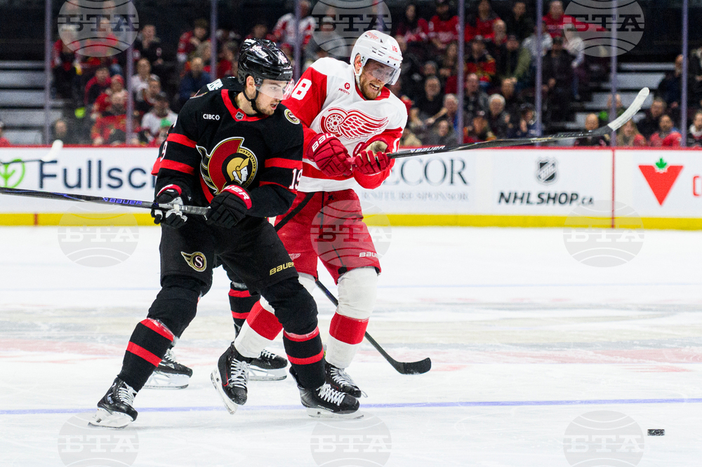 Red Wings Senators Hockey