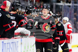 Red Wings Senators Hockey