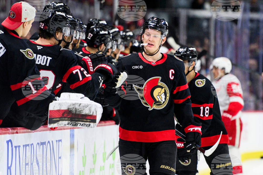 Red Wings Senators Hockey