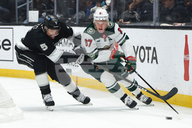 Wild Kings Hockey
